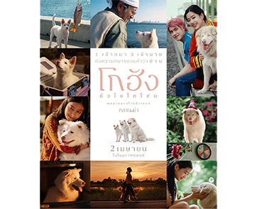 โกฮัง..หัวใจโกโฮม : เรื่องราวการผจญภัยของน้องหมา กับยิ้มทั้งน้ำตาที่มีอยู่จริง | Film to Watch Short Review